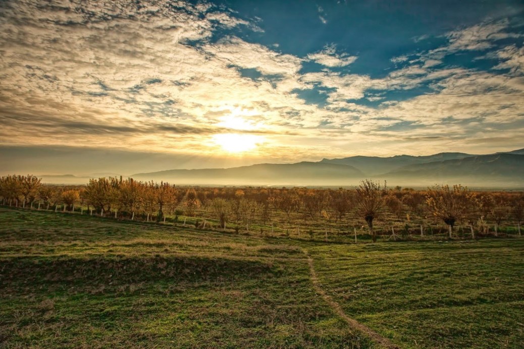 Tajik gallery image 10