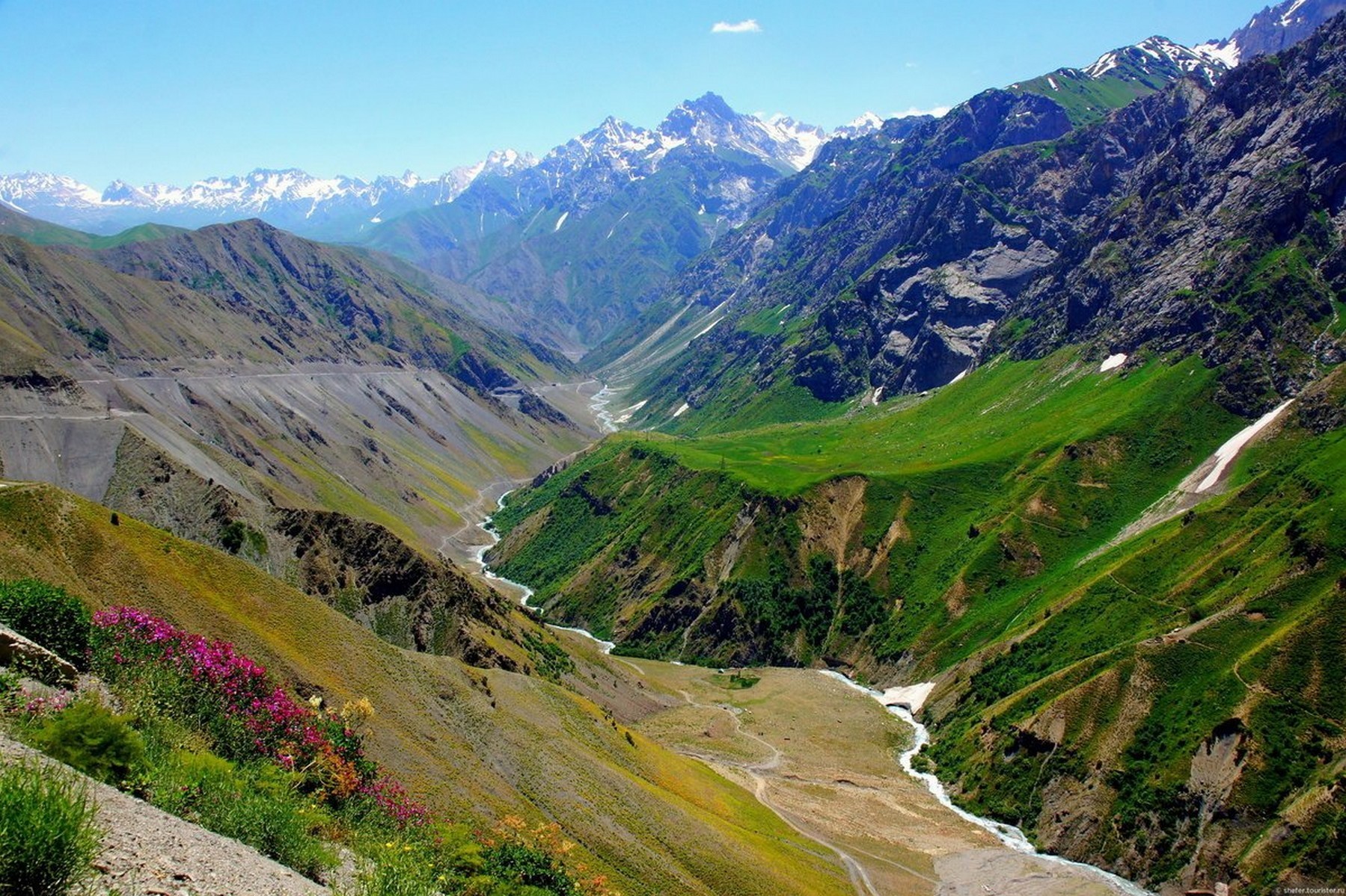 Tajik gallery image 12